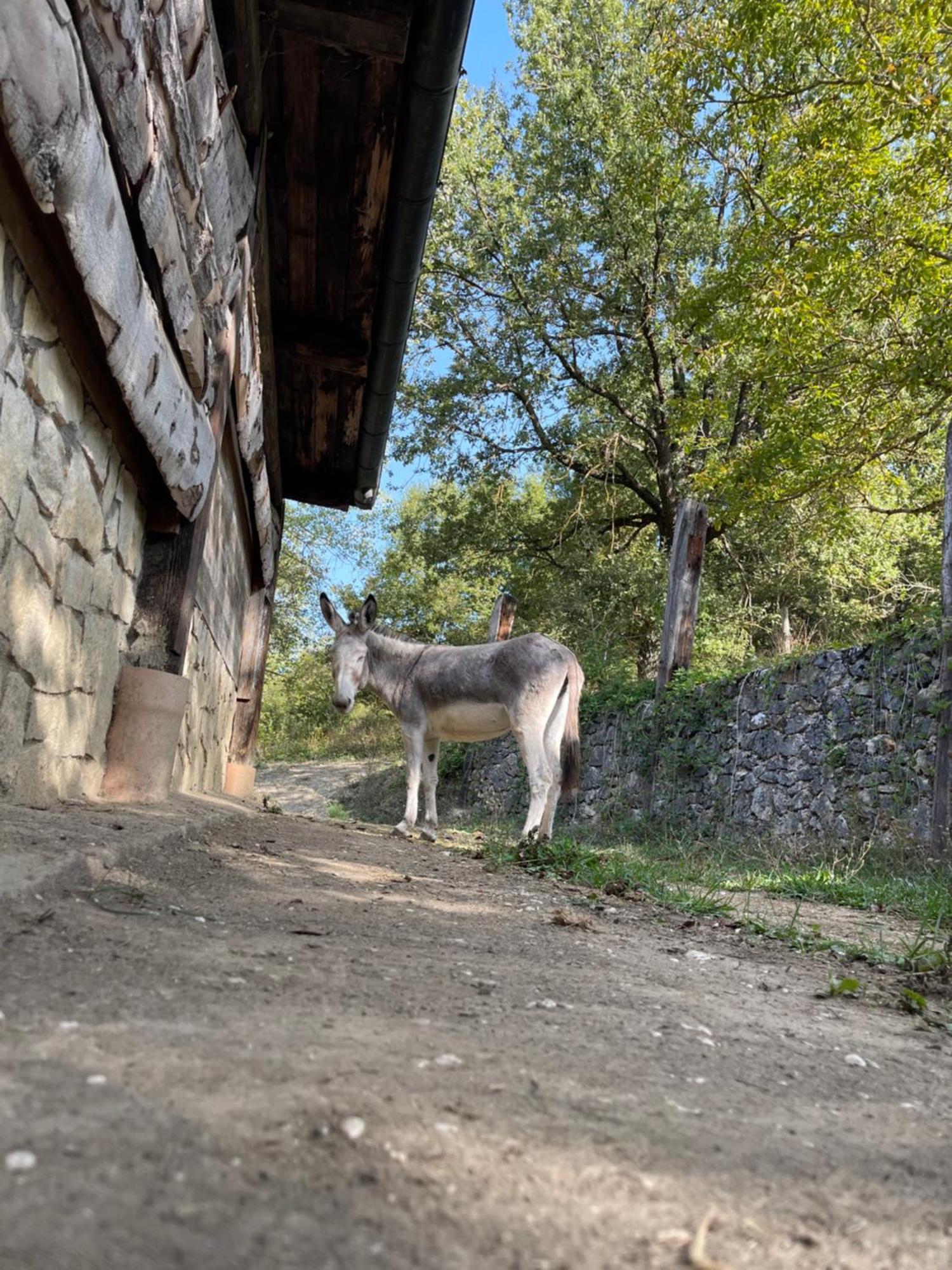 "Il Casaletto" Agriturismo Moderno, Vista Panoramica E Cibo Spettacolare- Скуркола-Марсикана Экстерьер фото