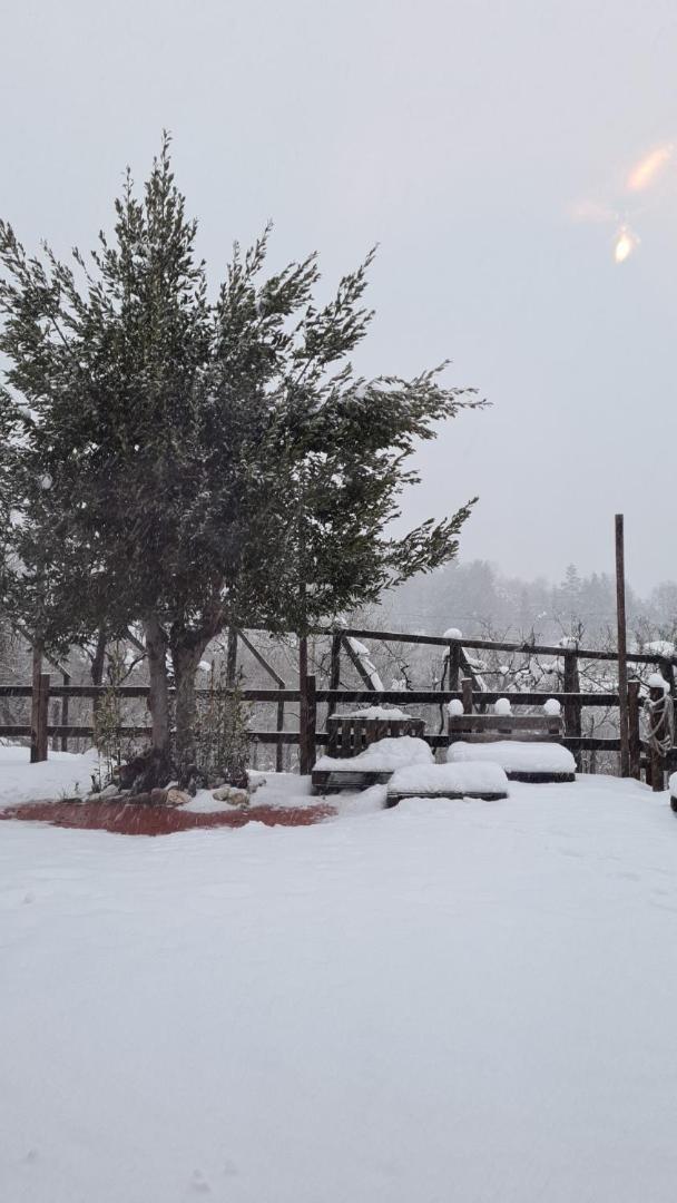 "Il Casaletto" Agriturismo Moderno, Vista Panoramica E Cibo Spettacolare- Скуркола-Марсикана Экстерьер фото